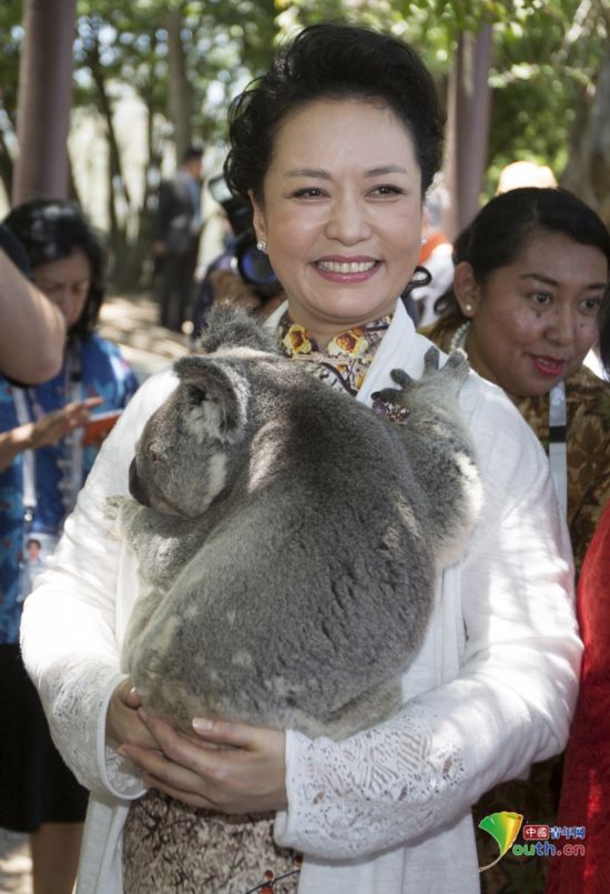 G20峰会领导人夫人合影 彭丽媛身着绣花旗袍