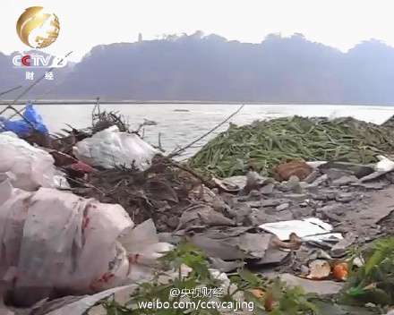 统计称中国每年10亿吨垃圾围城 全世界数一数二