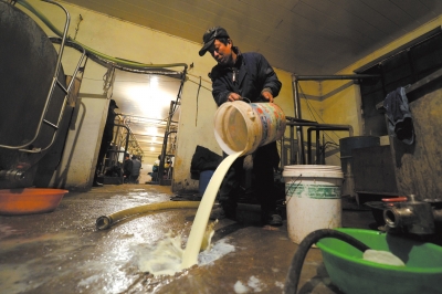 农业部处理“卖奶难” 协调乳企增购生鲜乳